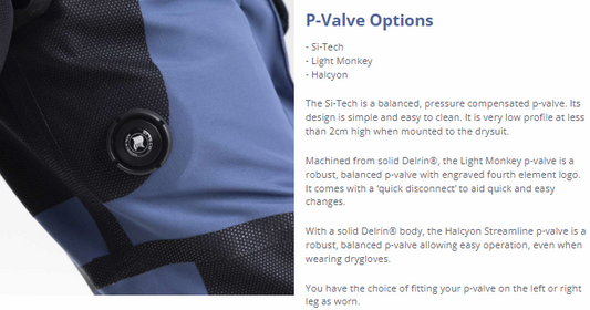 Step 4 (Optional) - P-Valve Options