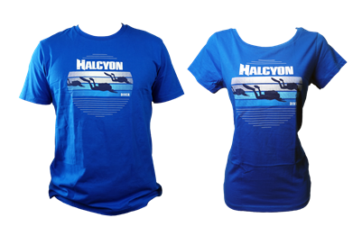 Ladies' Halcyon Diver  T-Shirt